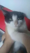 Sem nome definido