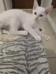 Elsa e Aurora