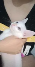 Elsa e Aurora