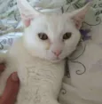 Pablo