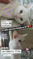 Pablo