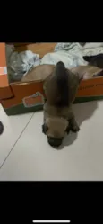 Ainda não tem nomes