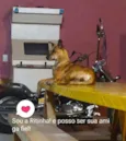 Ritinha