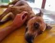 Ritinha