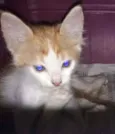 .........