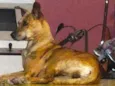 Ritinha