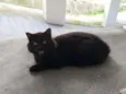 Desconhecido