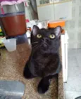 .........