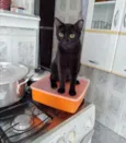 .........