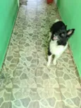 Nick