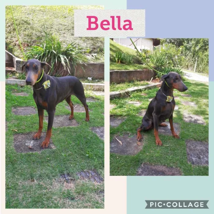 BELLA