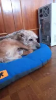 Marley