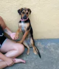 Jully