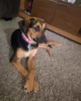 Jully