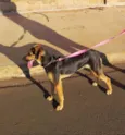 Jully