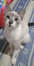 Antônio