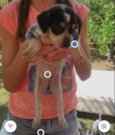 Stick,San, Soneca