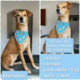 MARCELO