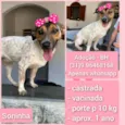 SONINHA