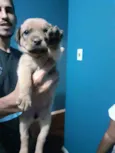 Vazinha