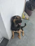Nina