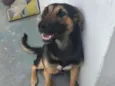 Nina