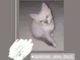 Não tem nome