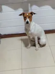 Pit