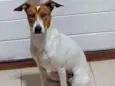 Pit