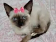 Hana 