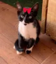 Bia 