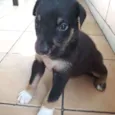 Fred