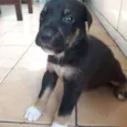 Fred