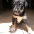Fred