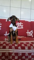 Oliver, Kaite e Laik