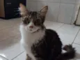 Zacarro