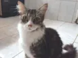 Zacarro