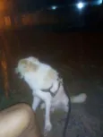 Jhonny