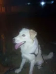 Jhonny