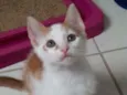 Hugo
