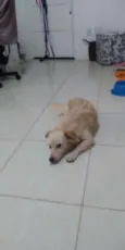 Bolinha