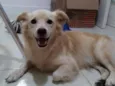 Bolinha
