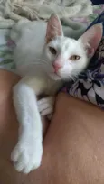 Davi