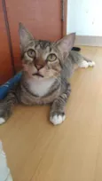 Vida