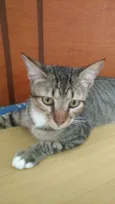 Vida