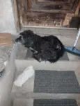 Desconhecido