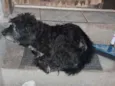 Desconhecido