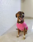 Maya
