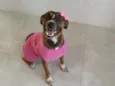 Maya