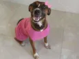 Maya